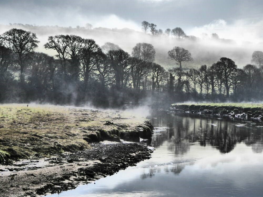 River Fowey misty morning Lostwithiel